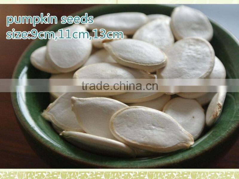 Snow White Pumpkin Seeds New Products On China Market Price