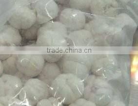 BEST PRICE FRESH DRAGON FRUIT