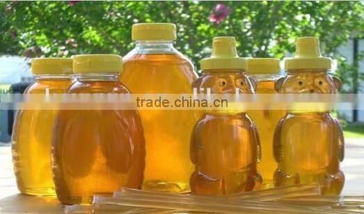 vials paste/liquid piston filling machine for bottle and jar