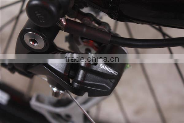 Mountain electric bike