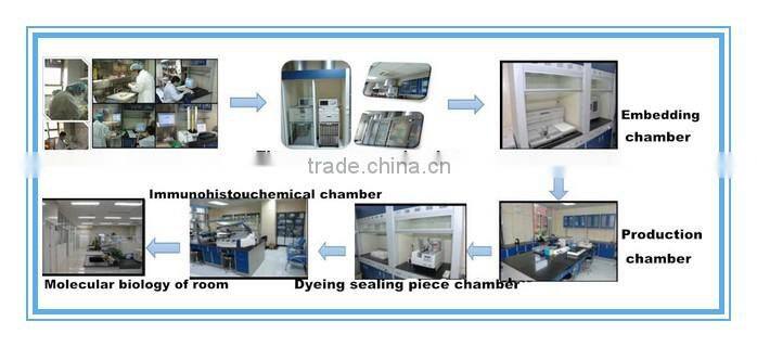 Used for hospital and laboratory microtome tissue sectioning HS3345