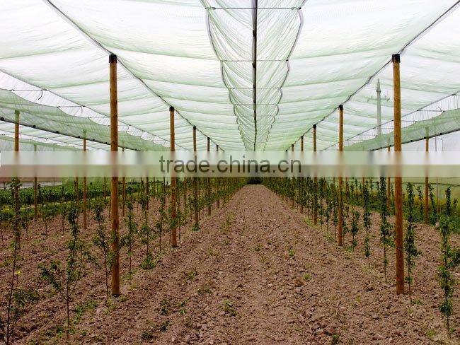 Hail protection netting