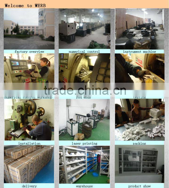 High Precision Competetive Price 1605 China CNC Rolled Ball Screw