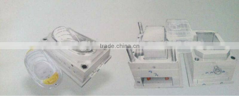 plastic injection mould