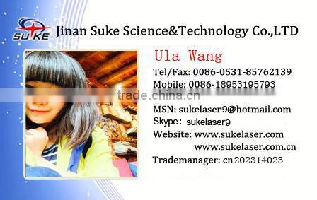 Stainless steel Carbon steel Fiber Laser Cutting Machine