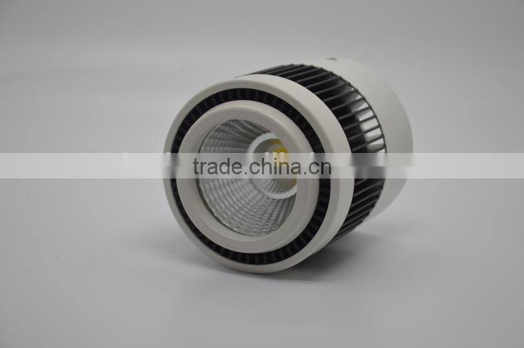 LED COB 20W surface mounted round cylindrical LED downlight TEC002CD20WSM2