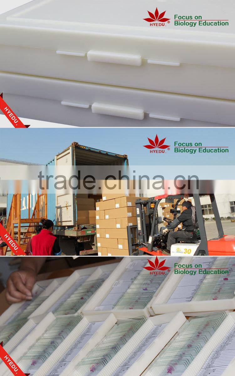 High quality 18pcs blood test prepared slides set