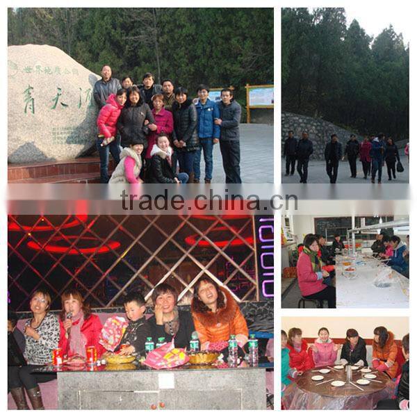 HYZ-80 Top rc bait boat made in China