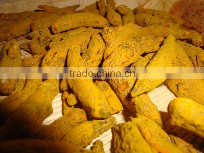 Excellent Grade Of Erode Turmeric Finger from India