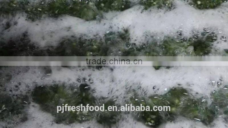 IQF Scallions Export to UK