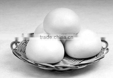 automatic divider rounder