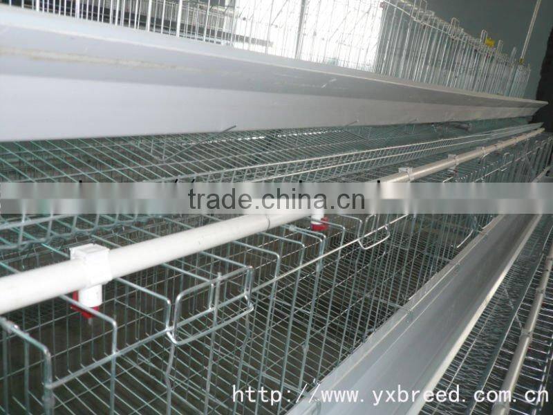 Mesh wire Chicken Cage With PVC Feed Through