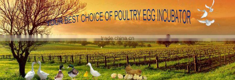 High Hatching Rate egg hatchery Machine Price setter and hatcher combined WQ-1232