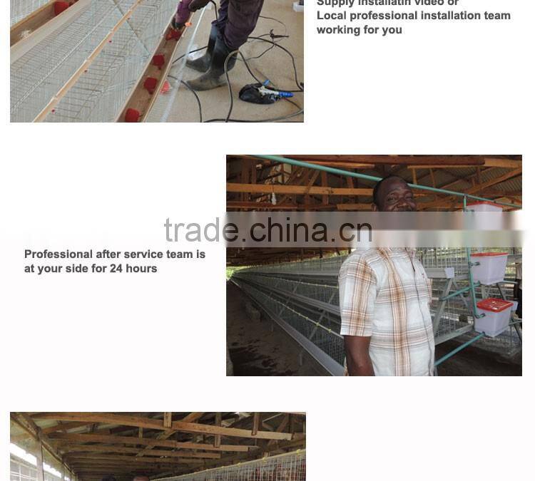 20 years lifespan A type of poultry egg chicken layer cage price