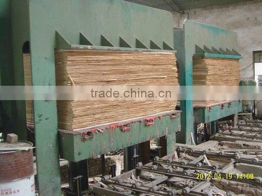 12mm FILM FACED PLYWOOD