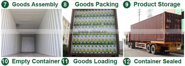 16L 16E Pandora Agricultural Mist Backpack Hand Sprayer