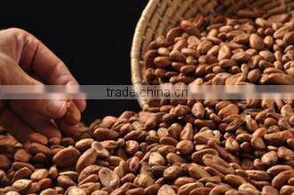 Cocoa bean cleaning machine