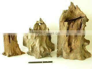 Natural roots for aquarium
