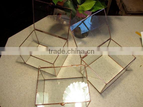 Hinged Top Jewelry Collections 3" to 4" Deep Smaller Size Clear Glass terrarium