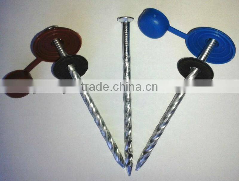 Polished Decorative Flooring Nails With Washers