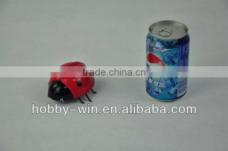 4CH simulation RC insect Coccinella