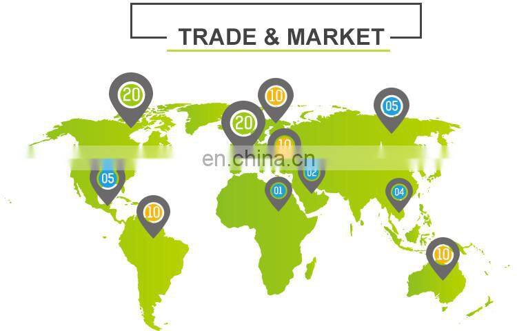 2017 Fashion Round Ice Cream Plastic Baby Spoon