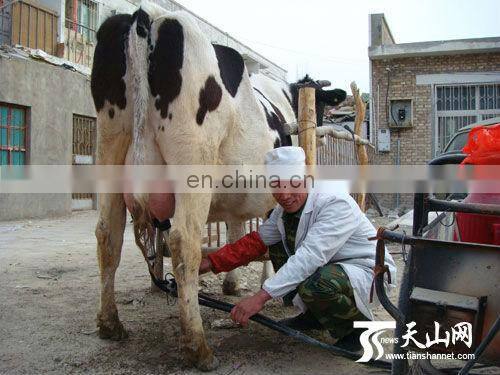 Portable Type/High Quality/Stainless Steel/25l Cow Milking Machine Price