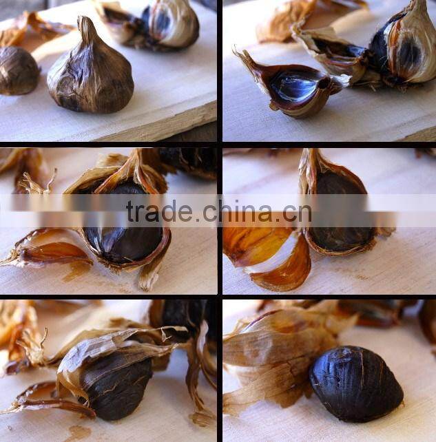 wholesale black garlic Jinxiang factory supply export black garlic