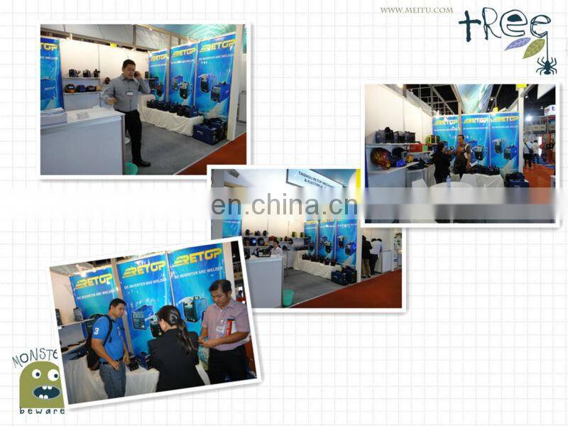 Heavy Duty Cycle MOSFET DC Arc MMA250 Welding Machine Industrial Business