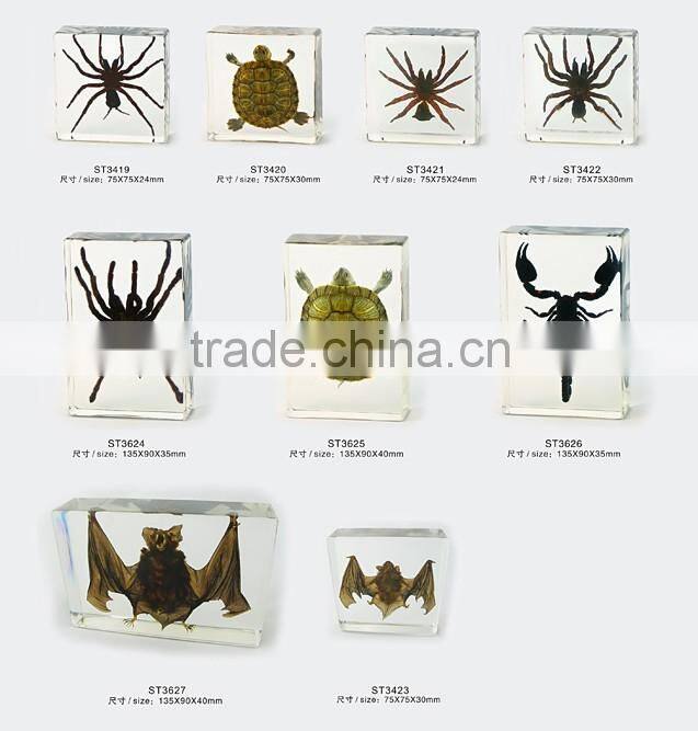 2016 new design promotional gift desk decoration real insect