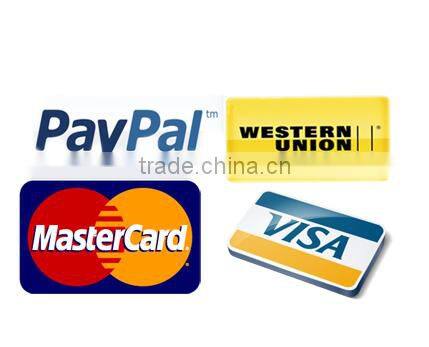 2015 promotional gifts led projector torch keychain,custom logo led metal keychan,led projector keyring