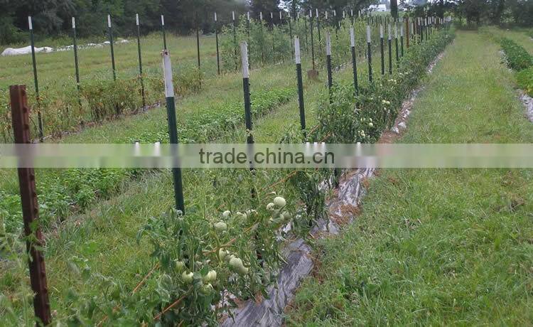 heavy duty 1.33lb/f wholesale cheap t fence studded post on sale