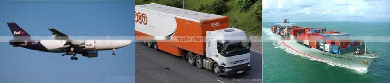 High Quality Spiral Bevel Gear