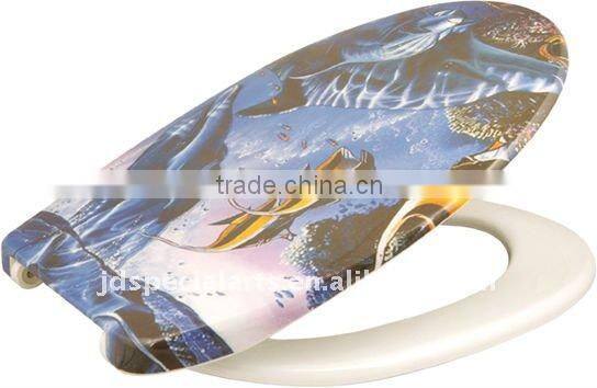 Duroplast Toilet Seat design