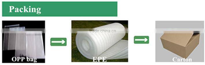 European style 316L stainless steel women earrings