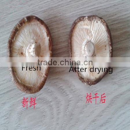 fruit drying machine dehydration machine industrial food dehydrator