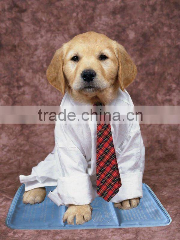 excellent suitable material pet supplies made in China