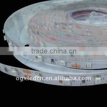 IP67 silicon tube waterproof 5050 blue 30LEDs/m 5m/roll 12V LED strip light wholesale and retail