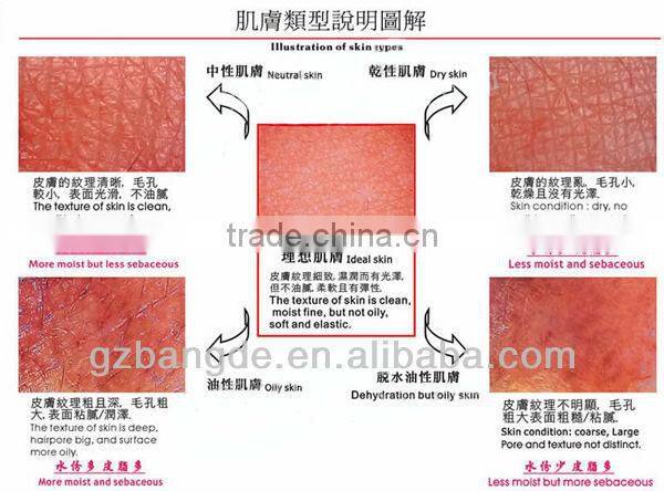 High Resolution Analysis Beauty Equipment for Skin and Hair beauty machine BD-P019