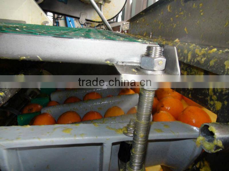 citrus processing line for produce orange juice