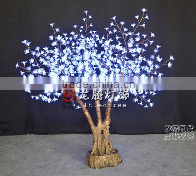 cherry blossom bonsai tree