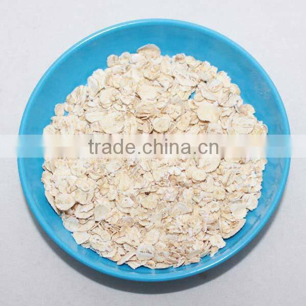 Rolled oat / Instant Organic Oatmeal / Breakfast Cereal