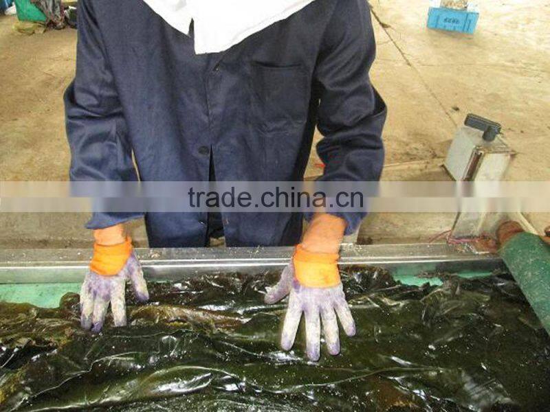 2014 Machine Dried shredded seaweed laminaria(manufacturer)
