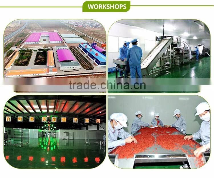 ningxia organic dried Chinese wolfberry/bulk goji berries