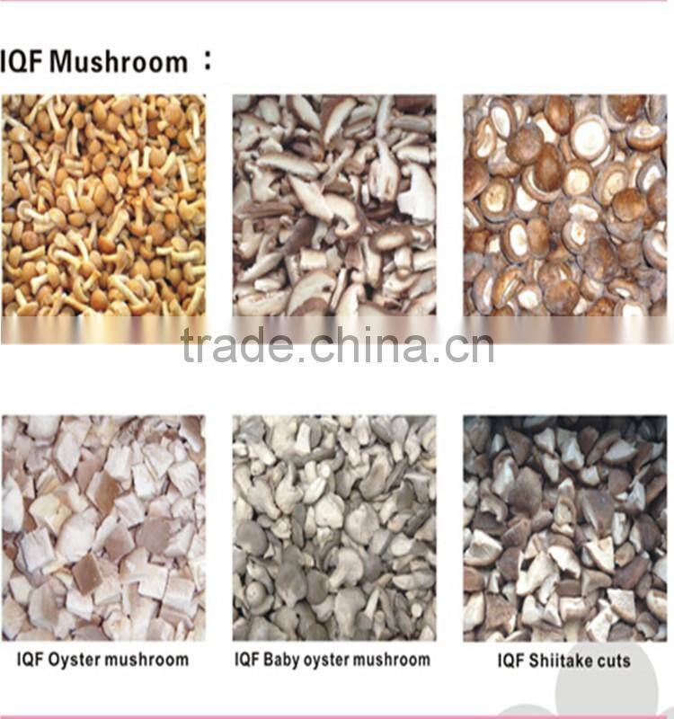 IQF Frozen apricot dices best price good quality