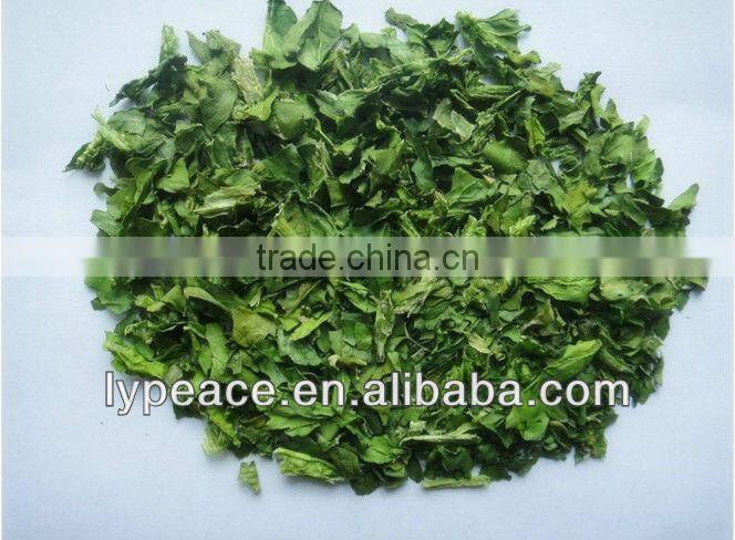 new crop in 2016 dehydrayed spinach flakes/granules