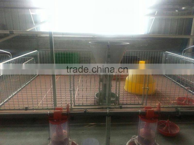 Cow Galvanized sheet Farrowing Stall Cage