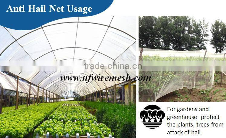 Hdpe net 25 x25 mm mesh hole agricultural bird netting (Guangzhou Factory)