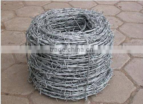 Hot dipped galvanized barbed wire fencing professional supplier