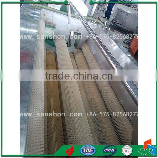China Potato Carrot Washing Peeling Machine